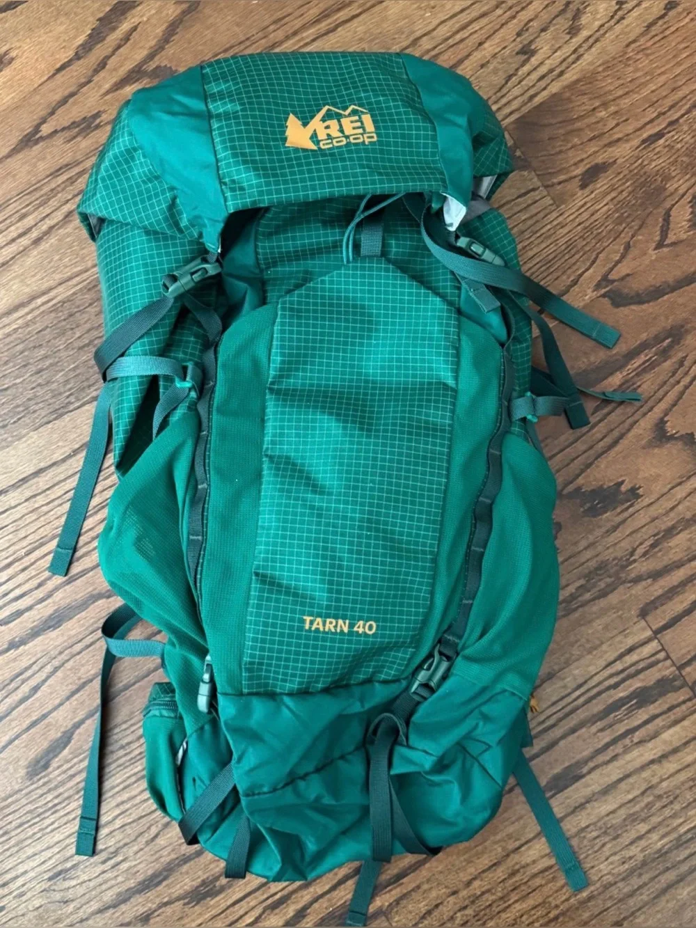 REI CO-OP Tarn 40 Kids Hiking Pack - Green - Picture 1 of 4